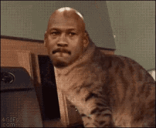 Funny Michael Jordan GIF - Funny Michael Jordan Cat GIFs