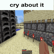Cry About It Minecraft GIF - Cry About It Minecraft Dupe GIFs