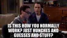 Hunches Guesses GIF - Hunches Guesses Sheldon GIFs