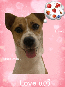 a picture of a dog with the words love u on the bottom left