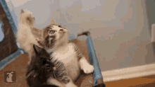 Can'T You See I'M Busy?! GIF - Cats Kittens Play GIFs