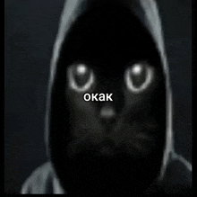 a black cat wearing a hoodie with the word okak on the bottom right