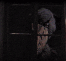 a dark room with a window and a person behind it