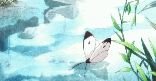 anime-butterfly.gif
