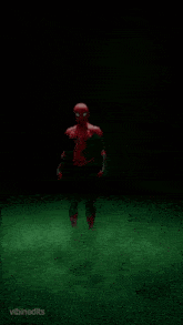 a close up of a spider man 's face with the words vibinedits on the bottom right