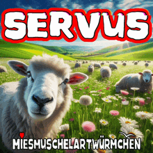 Servus Hi GIF - Servus Hi Hallo GIFs