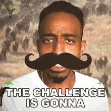 challenge challenge