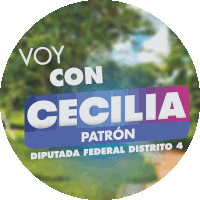 Voy Con Cecilia Patron Sticker - Voy Con Cecilia Patron Stickers