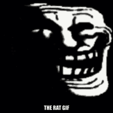 Rat Rat Gif GIF - Rat Rat Gif The Rat Gif GIFs