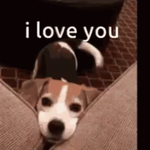dog saying i love you