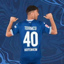Tsg Hoffenheim Bundesliga GIF - Tsg Hoffenheim Bundesliga Fußball GIFs