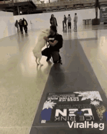 Missed You Dog GIF - Missed You Dog Lick GIFs