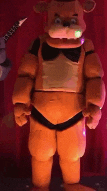 a close up of a teddy bear in a costume standing on a stage .