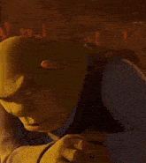 shrek from shrek is smiling and looking at the camera while wearing a vest .