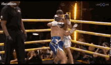 anesongib tayler holder gib youtube boxing