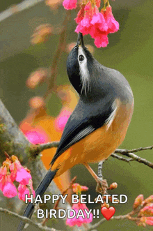 a bird is perched on a tree branch with pink flowers and the words happy belated birdday