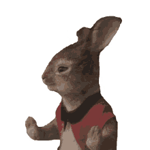 what flopsy peter rabbit2 peter rabbit the runaway huh