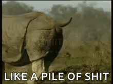Rhino Shit GIF