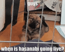 Hasanabi Hasanabi Is Live GIF - Hasanabi Hasanabi Is Live Hascord GIFs