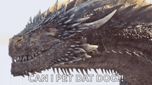 a close up of a dragon with the words can i pet dat dog
