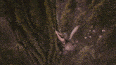a fairy with wings is sitting on a tree in the woods .