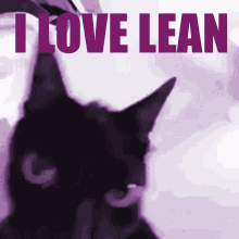 I Love Lean Meme Lean GIF - I Love Lean Meme Lean Cat Loves Lean GIFs