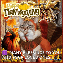 a cat dressed as a turkey says happy thanksgiving