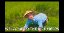 Welcome To The Rice Fields Mad GIF