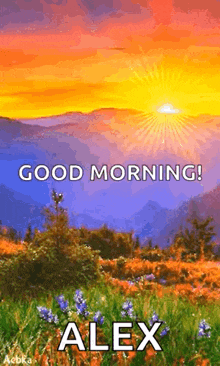 a picture of a sunset with the words `` good morning alex '' written on it .