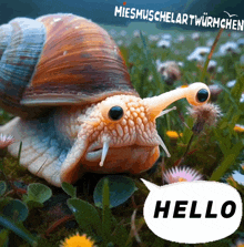 a picture of a snail with a hello speech bubble below it