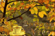 Autumn Dobroeutro GIF - Autumn Dobroeutro Coffee GIFs