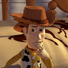 woody from toy story is wearing a cowboy hat and plaid shirt