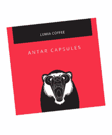 lumia lumia coffee antar coffee antar capsules