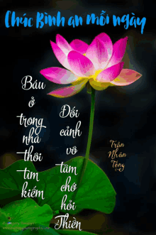 Buddha Hoa Sen GIF - Buddha Hoa Sen Lotus GIFs