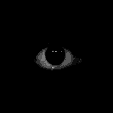 怖い　こわい　目 GIF - Terror Eye Scary GIFs