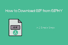 How To Download A Gif GIFs