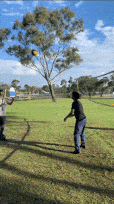 two people playing volleyball in a grassy field with a tree in the background