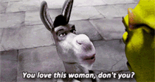 Donkey Shrek GIF - Donkey Shrek Lovethiswoman GIFs