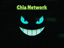 a picture of a padlock with the words chia network written above it