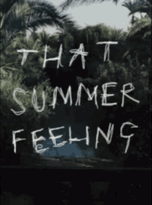 That Summer GIF - That Summer Feeling GIFs