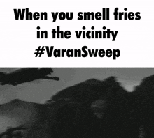 Sweep Varan Sweep GIF - Sweep Varan Sweep Varan The Unbelievable GIFs