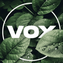 Vox GIF - Vox GIFs