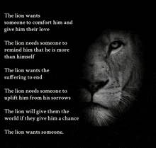 a black and white photo of a lion with the words " the lion wants someone "
