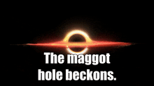 Maggot Hole Maggot Hole Beckons GIF
