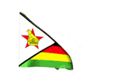 Zimbabwe GIF - Zimbabwe GIFs