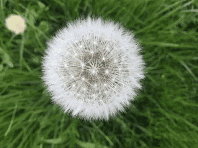 Tacheles Werbung GIF - Tacheles Werbung Tacheles Werbeagentur GIFs