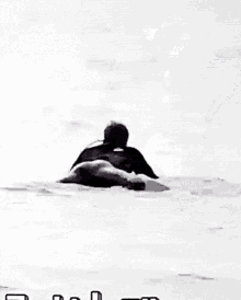 Shownu Wetsuit GIF - Shownu Wetsuit Surfing GIFs