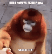 monkeys homework