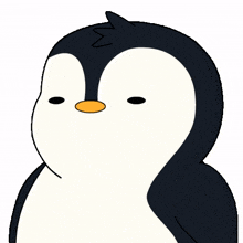 lol face hey wink penguin