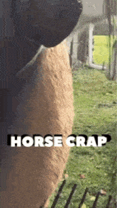 Horsecrap Holycrap GIF - Horsecrap Holycrap Crap GIFs